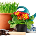 Товары для растений